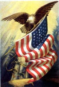 Flag with eagle